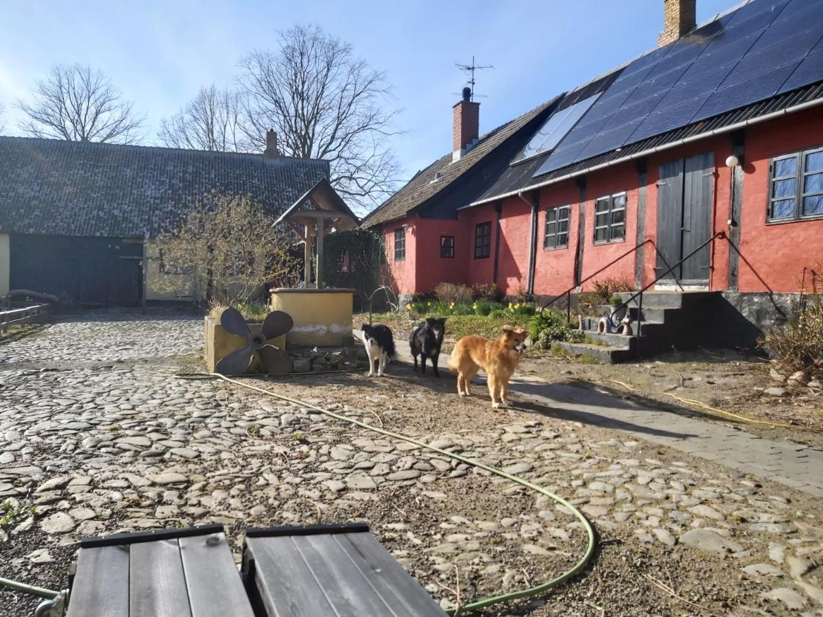 Bolshavnvej5 Bed & Breakfast Exterior photo